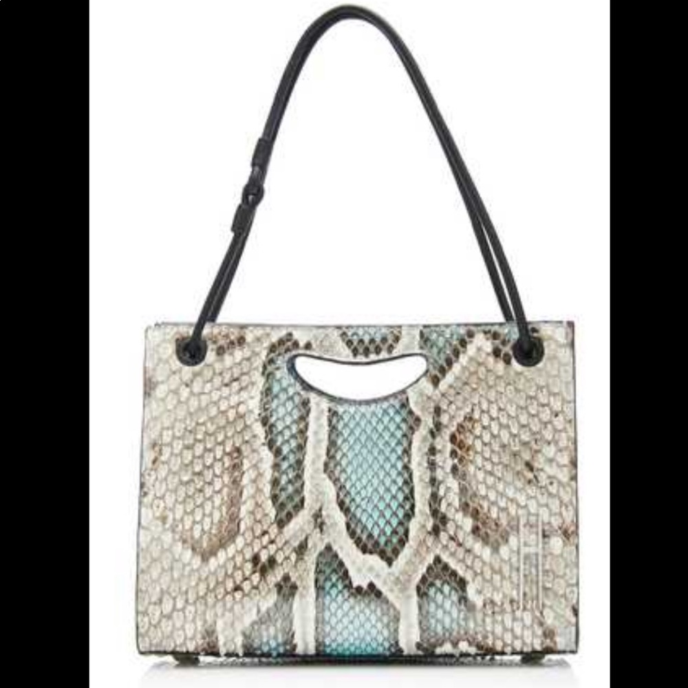 Hayward | 1712 Basket Bag in Aluminum Python